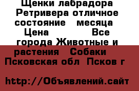 Щенки лабрадора Ретривера отличное состояние 2 месяца › Цена ­ 30 000 - Все города Животные и растения » Собаки   . Псковская обл.,Псков г.
